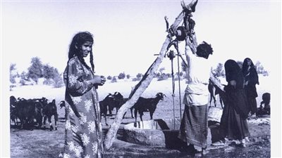 المرأة البدويّة في كتابات الرحالة أوبنهايم 1911م