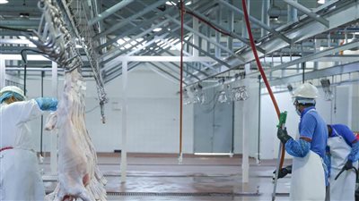 مسالخ أبوظبي تجهز 279,494 ذبيحة منذ بداية العام الجاري وحتى 30 يونيو