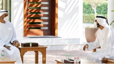 محمد بن راشد يلتقي محمد بن زايد ويستعرضان عددا من القضايا الوطنية