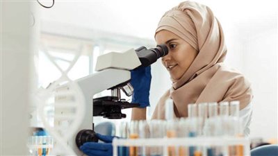 هيئة الأمم المتحدة للمرأة تطلق 