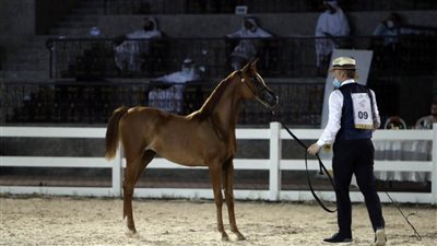 ثنائية ذهبية لكل من 