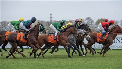 رئيس الاتحاد الدولي لسباقات الخيول العربية: الإمارات تقود المنظمة الدولية إلى حقبة ذهبية بدعم منصور بن زايد