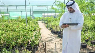 إنجاز المرحلة الأولى لمشروع السجل الزراعي في أبوظبي