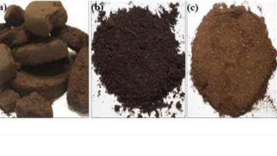 باحثون من جامعة الإمارات ينتجون الوقود الحيوي من مخلفات القهوة