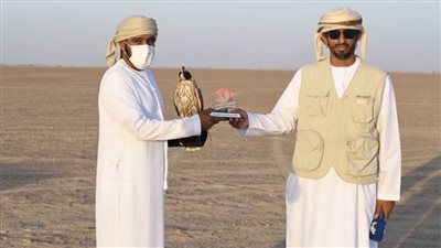 نتائج منافسات بطولة تحديات الزاجل للصقارة في 