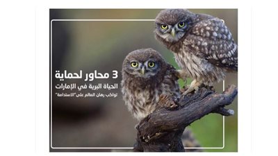 3 محاور لحماية الحياة البرية في الإمارات تواكب رهان العالم على