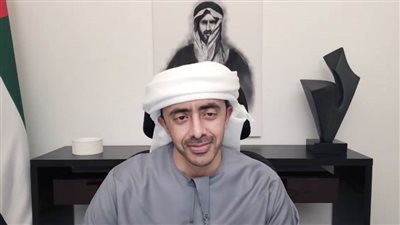عبدالله بن زايد يترأس اجتماع مجلس التعليم والموارد البشرية عن بعد
