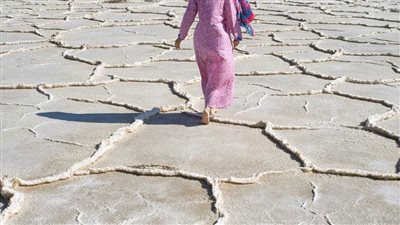 معرض الجناح الوطني للدولة يقدم نموذجاً أولياً من مادة بديلة ومستدامة للإسمنت في بينالي البندقية