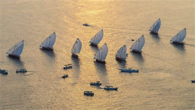 برعاية حمدان بن زايد .. انطلاق سباق دلما التاريخي للمحامل الشراعية غدا