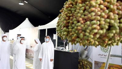 برعاية منصور بن زايد .. انطلاق مهرجان ليوا للرطب