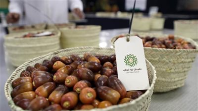 منافسات قوية تشهدها مسابقات رطب الخلاص والفرض في مهرجان ليوا للرطب