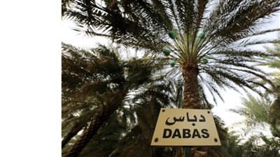 اللي ما يزرع الدبّاس ما ياخذ بنات الناس