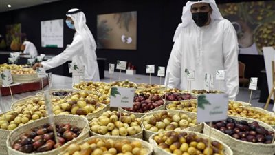 اختتام مسابقات 