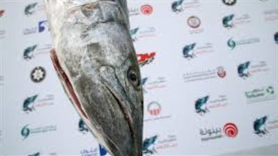 برعاية حمدان بن زايد .. 