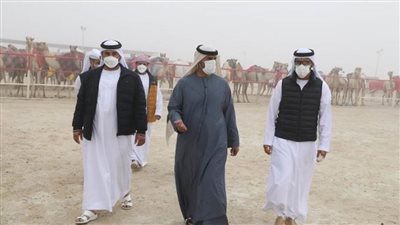 فارس المزروعي يتفقد موقع مزاينة الإبل في مهرجان الظفرة