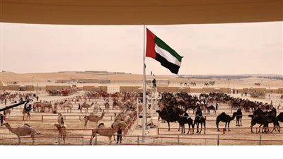 مهرجان الظفرة يواصل مسابقاته وفعالياته لغاية 22 يناير الجاري