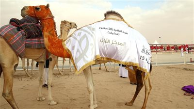 خليفة بن سيف بن محمد يتوج الفائزين بـ