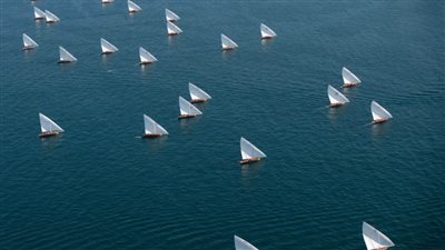 انطلاق سباق 