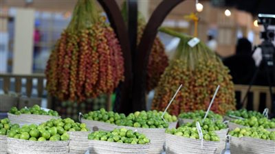 ليوا للرطب .. مشاركات مميزة من مزارع الإمارات