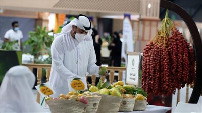 مهرجان ليوا للرطب يواصل فعالياته ومسابقاته التراثية