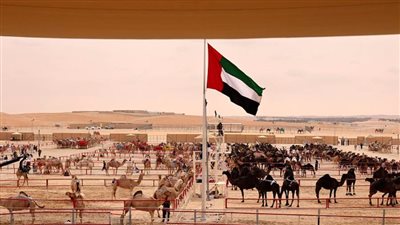 انطلاق مهرجان الظفرة 28 أكتوبر المقبل