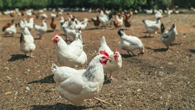 دعت الجمهور لإبداء آرائه ومقترحاته.. 