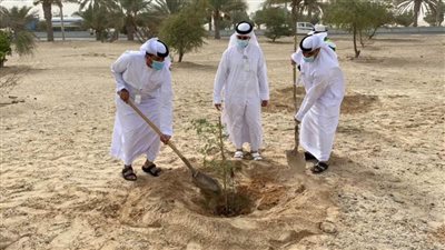 بلدية منطقة الظفرة تشارك في اليوم العالمي لمكافحة التصحر