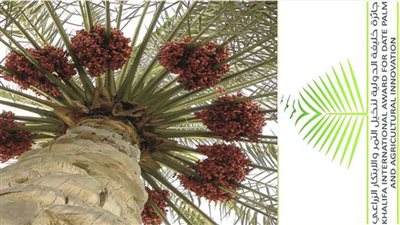 جائزة خليفة الدولية لنخيل التمر والابتكار الزراعي