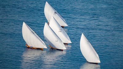 اليوم آخر موعد لوصول المحامل المشاركة في سباق دلما التاريخي الخامس