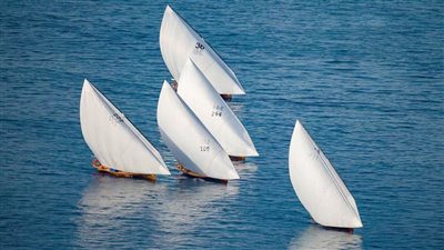 تحت رعاية حمدان بن زايد.. بحارة سباق 