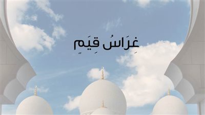 مركز جامع الشيخ زايد الكبير يطلق سلسلة 