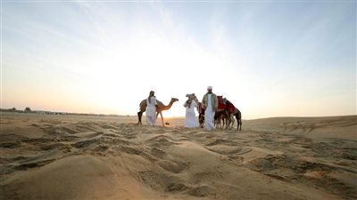 تحت رعاية رئيس الدولة .. مزاينة رزين بمهرجان الظفرة تنطلق الأحد