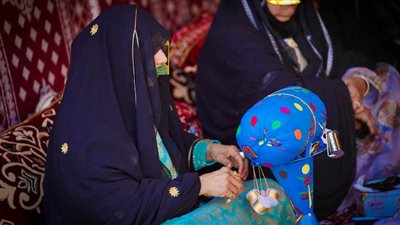 برعاية رئيس الدولة..انطلاق فعاليات مهرجان الشيخ زايد