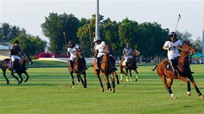 برعاية فلاح بن زايد.. بطولة اليوم الوطني لتحدي البولو تستأنف فعالياتها اليوم في نادي غنتوت