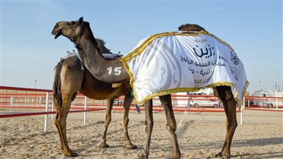 هزاع وخالد بن سلطان بن زايد يتوجان الفائزين في مزاينة رزين