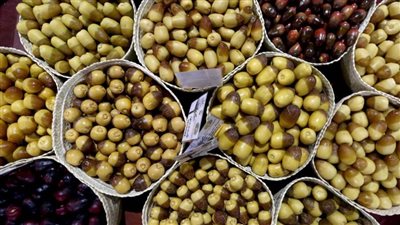 مهرجان ليوا للرطب يعتمد 