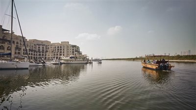 غابات الغاف والمانغروف .. ظل الأصالة وقصة الأجداد في تطويع الطبيعة