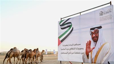 ‎127 ألف زائر لفعاليات الظفرة 16و أكثر من 90 مليون درهم إجمالي الجوائز