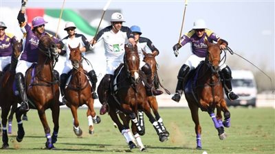 نادي غنتوت يكثف استعداداته لبطولة كأس رئيس الدولة للبولو