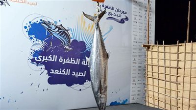 ‎منافسات قوية في بطولة الظفرة الكبرى لصيد الكنعد