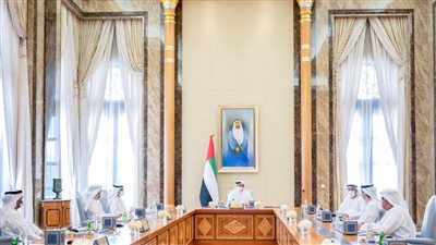 برئاسة منصور بن زايد .. مجلس إدارة المصرف المركزي يستعرض برنامج تحوّل البنية التحتية المالية للقطاع المالي والتأمين بالدولة