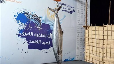 انطلاق منافسات بطولة الظفرة الكبرى لصيد الكنعد للرجال والنساء 22 أبريل