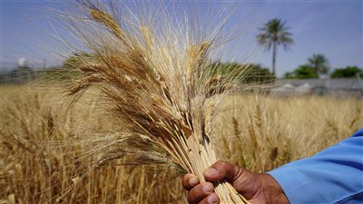 حزم تشريعية ترسخ استدامة الموارد الطبيعية