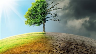 هيئة البيئة في أبوظبي .. مبادرات رائدة في مجال مكافحة التغير المناخي