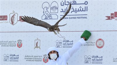 انطلاق مسابقة مهرجان الشيخ زايد للصيد بالصقور الخميس المقبل