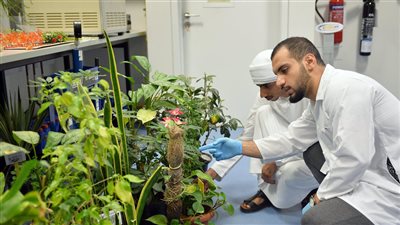 جامعة الإمارات تعتمد  18 مشروعا بحثيا