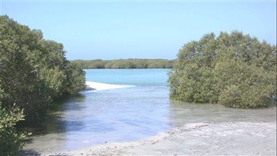 حمدان بن زايد يصدر قراراً بشأن سياسة المحميات الطبيعية