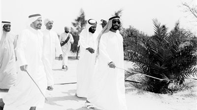  استراتيجية راسخة تدمج قضايا البيئة في مناهج التعليم بالدولة