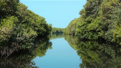 مساهمات بارزة لمواجهة التغير المناخي وبناء مستقبل مستدام