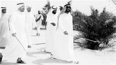 رؤية الشيخ زايد.. موروث ثقافي يساهم في حماية البيئة وتعزيز استدامتها